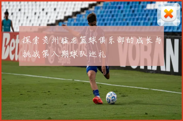 探索贵州猛龙篮球俱乐部的成长与挑战第八期球队巡礼