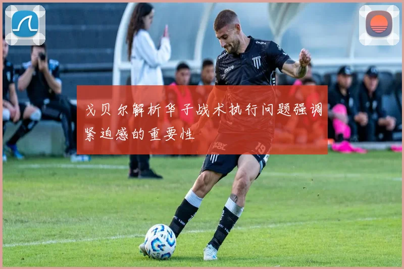 戈贝尔解析华子战术执行问题强调紧迫感的重要性