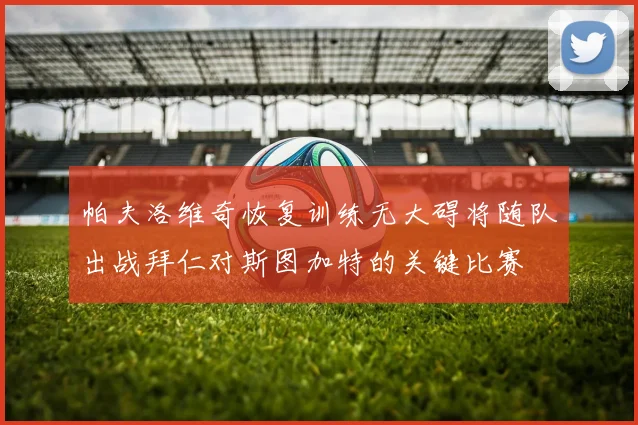 帕夫洛维奇恢复训练无大碍将随队出战拜仁对斯图加特的关键比赛