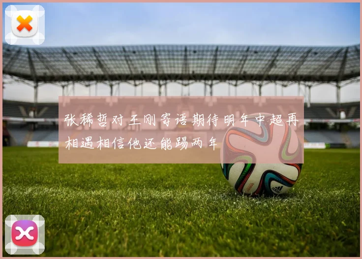 张稀哲对王刚寄语期待明年中超再相遇相信他还能踢两年