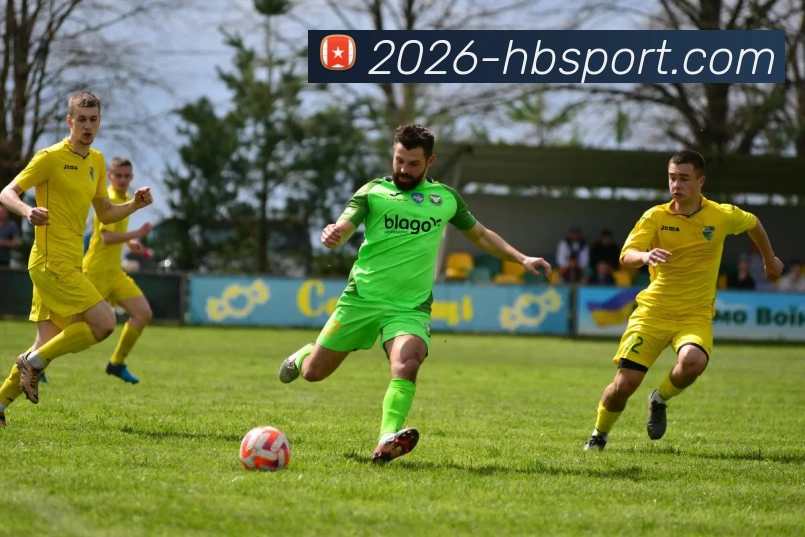 火博体育服务体系